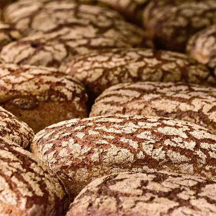 LÄHIRUISVUOKA - Tummat leivät - 1018 - 2